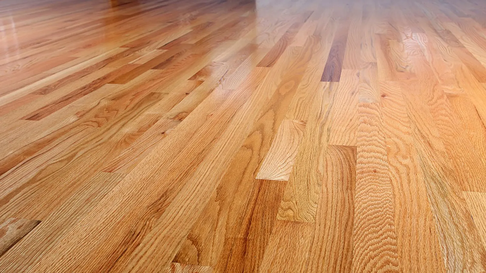 Red oak, refinished to a warm gloss, Absolute Hardwood Flooring project